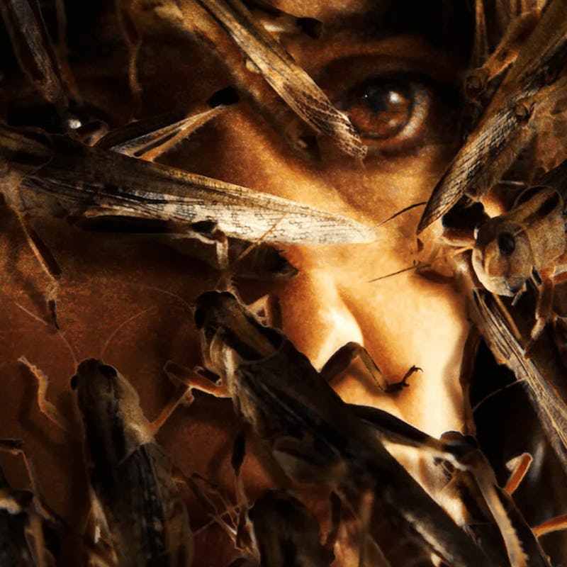Locusts swarm a woman's face