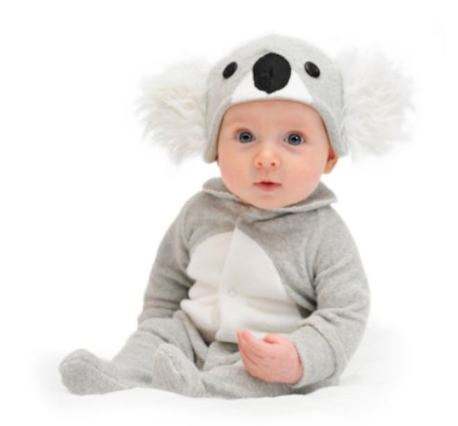 Baby dressed as a koala