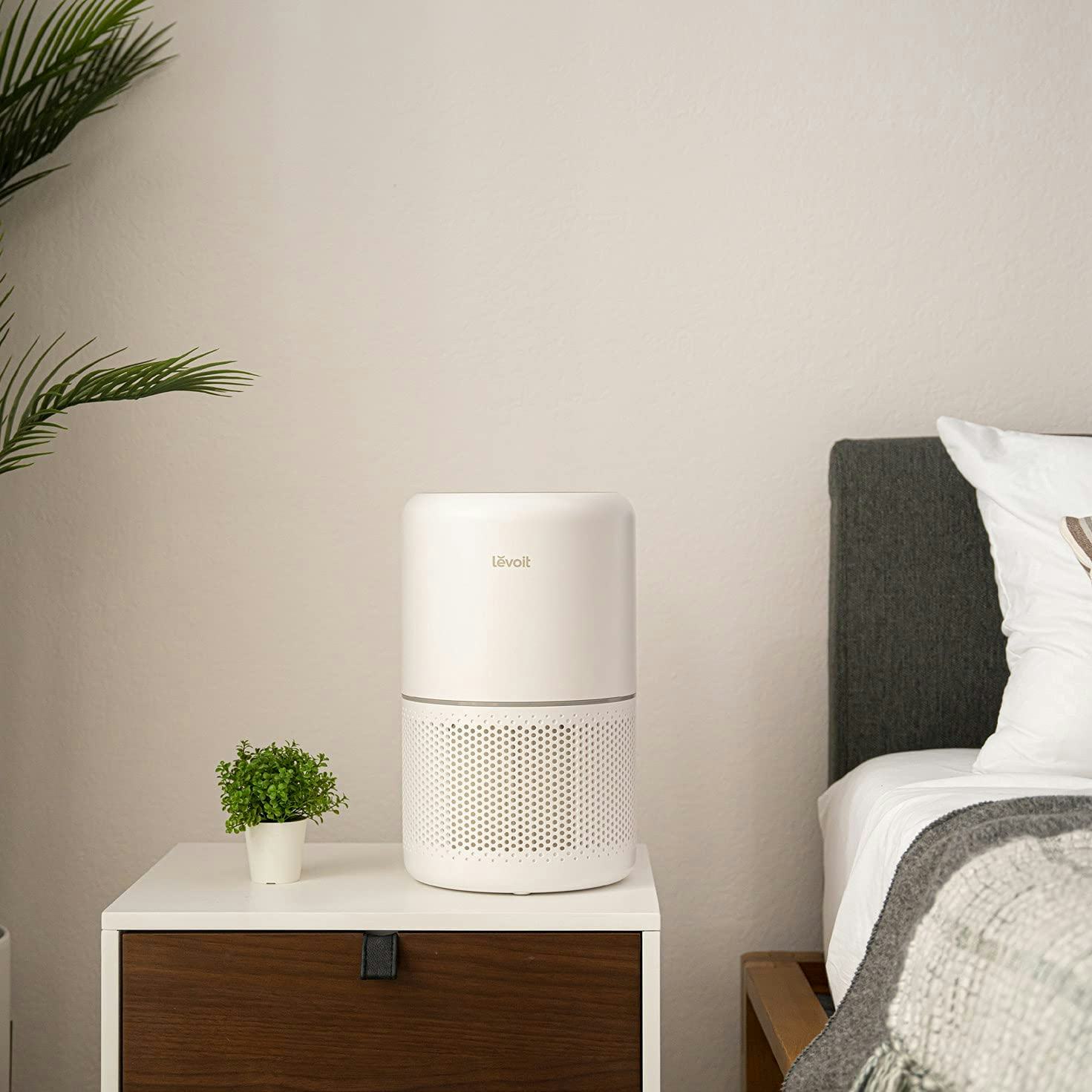 The 5 Best Air Purifiers For Dust Mites