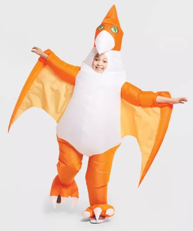 Kids' Inflatable Pterodactyl Halloween Costume One Size
