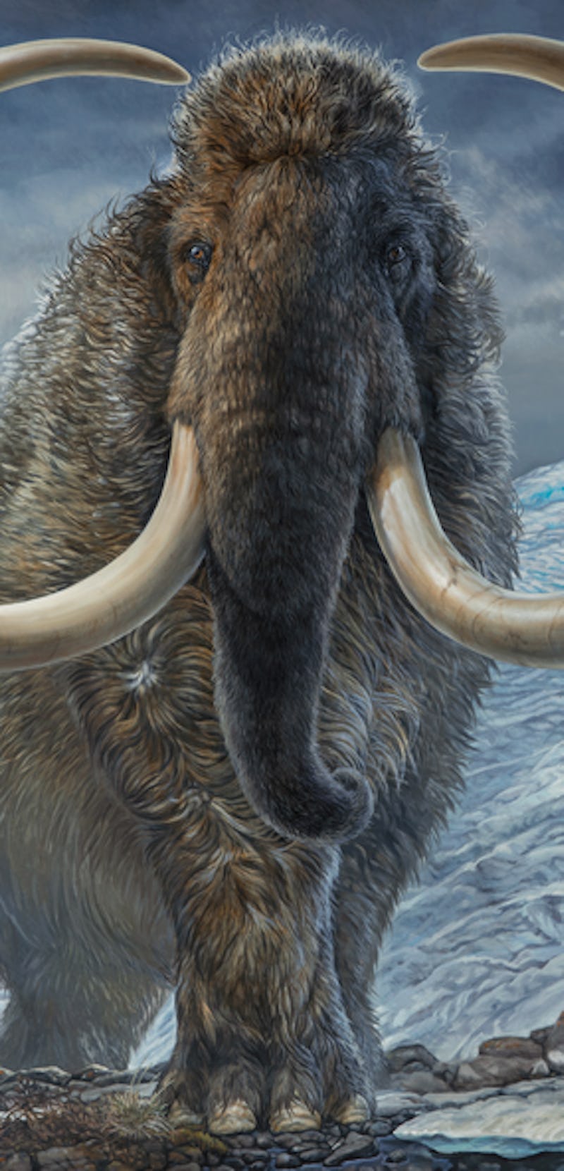 A painting of a woolly mammoth