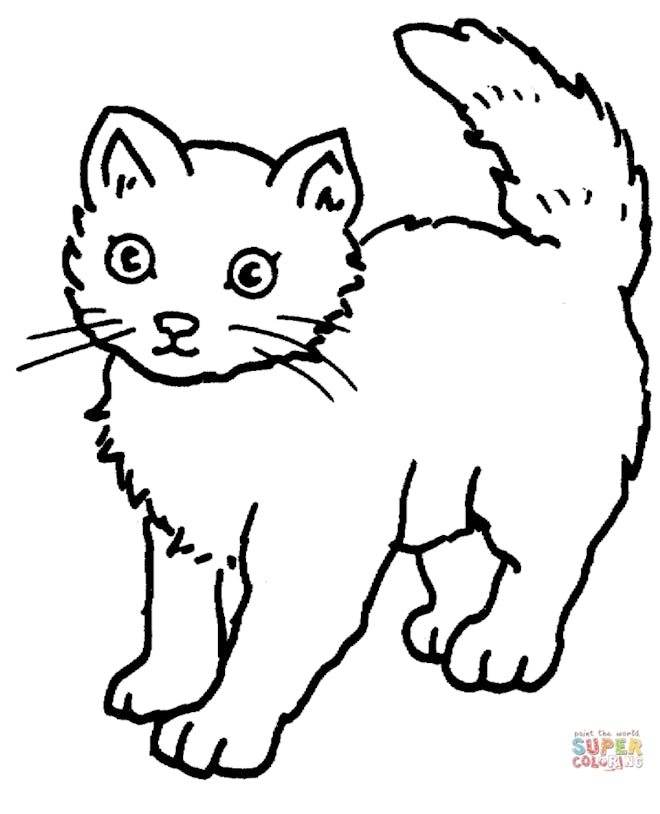 Cat coloring page; cartoon cat