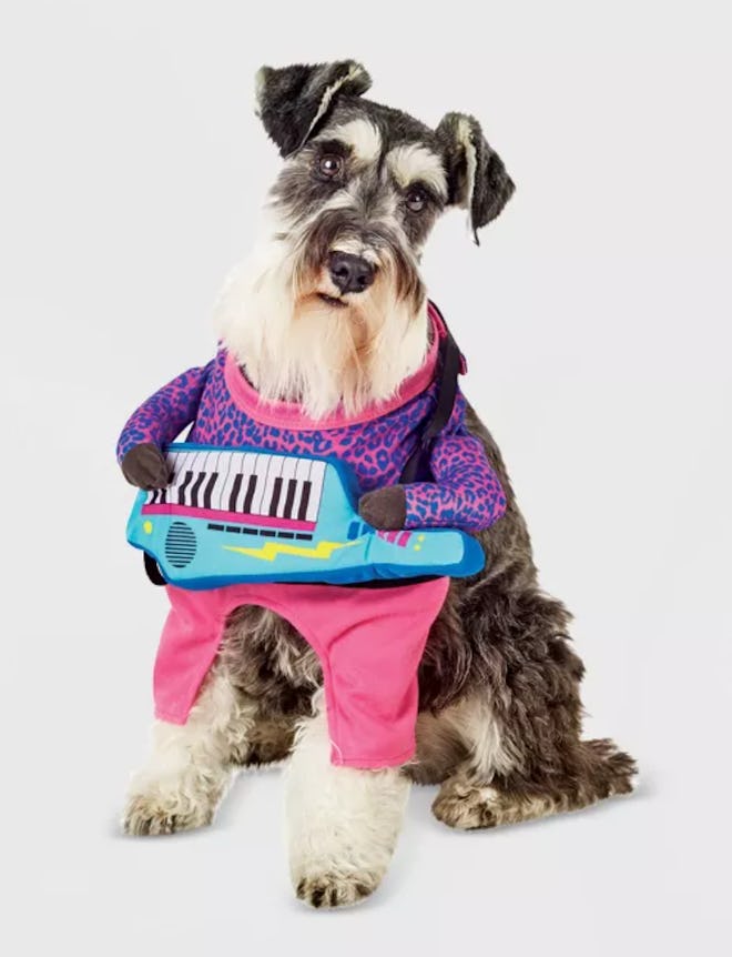 Keyboard Guitarist Frontal Dog and Cat Costume