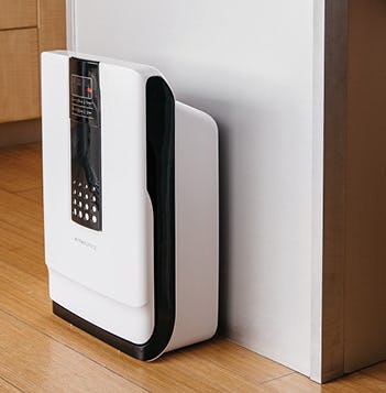 The 5 Best Air Purifiers For Dust Mites