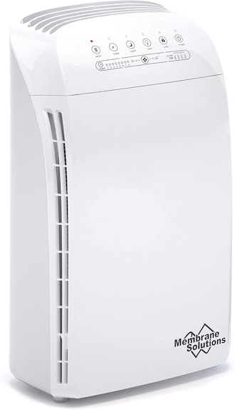 This air purifier for dust mites is a great option for larger rooms.