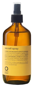 Sea Salt Texturizing Hair Spray 