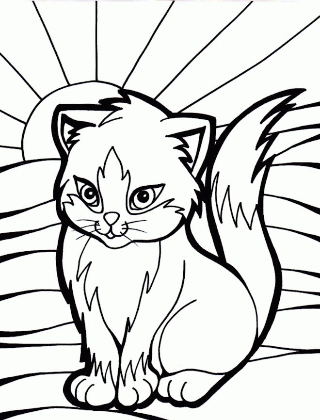 Cat Coloring Page; cat sanding in front of sunshine with rays coming out across the page