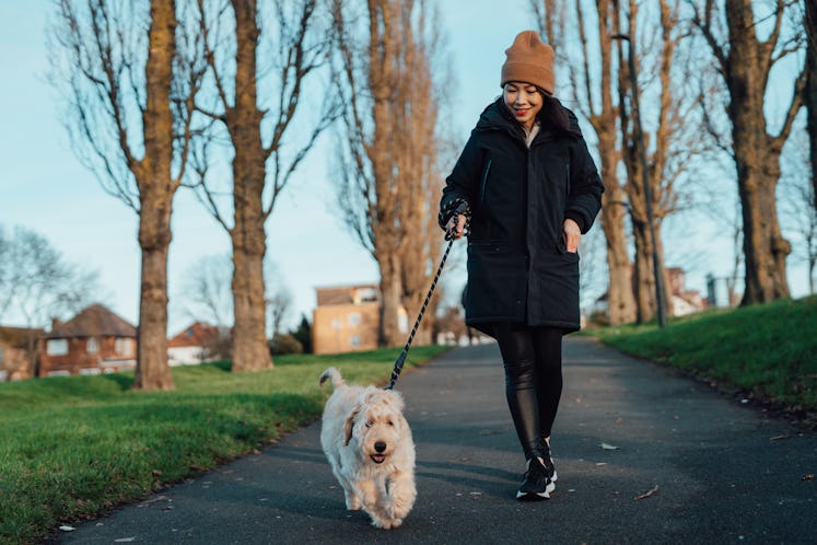 Woman walking dog in park
