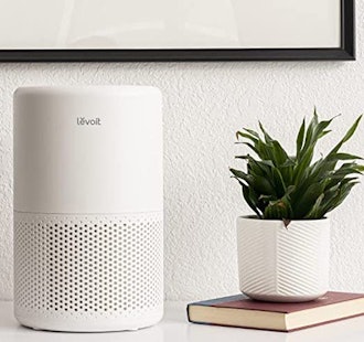 If you want a Wi-Fi-enabled air purifier for dust mites, consider this LEVOIT purifier.