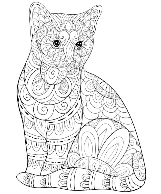 Cat Coloring Page: Adult coloring page of cat with intricate designs and details