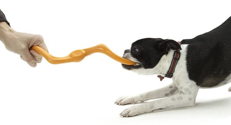 West Paw Flexible Dog Tug Toy