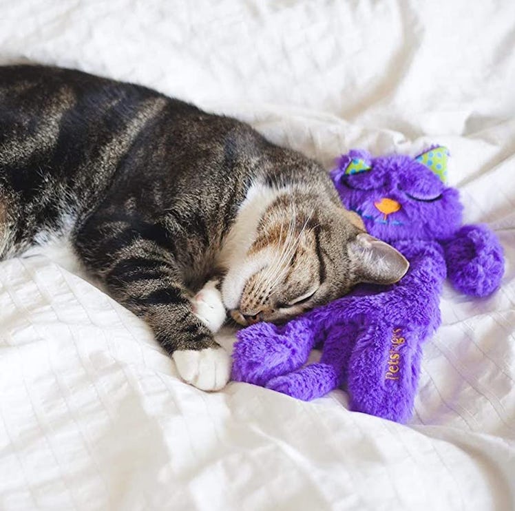 Petstages Comforting Cat Toy Purr Pillow