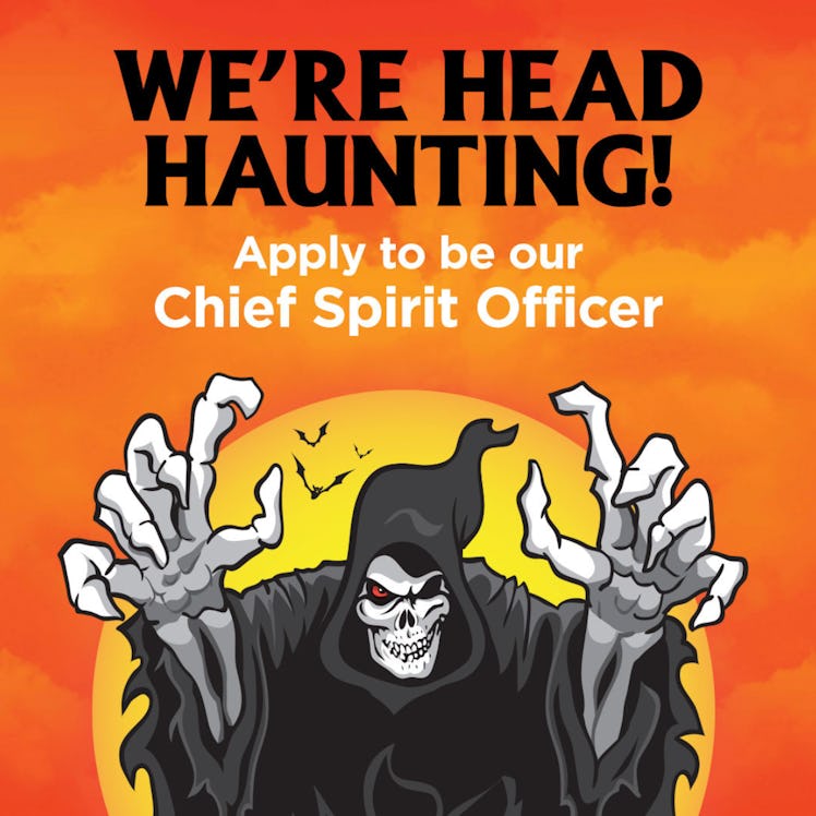 Here's how to enter Spirit Halloween's Chief Spirit Officer contest for your chance to film its soci...