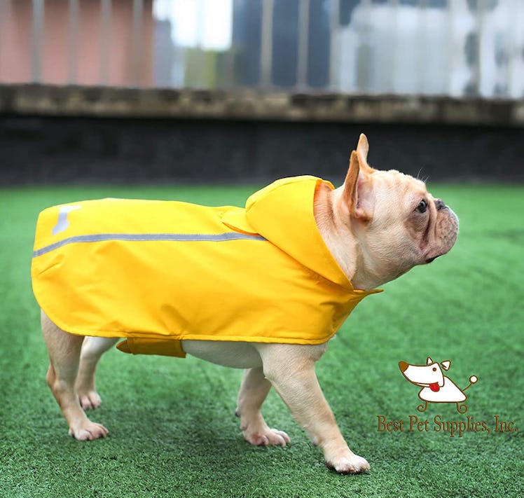 Best Pet Supplies Voyager Dog Rain Coat