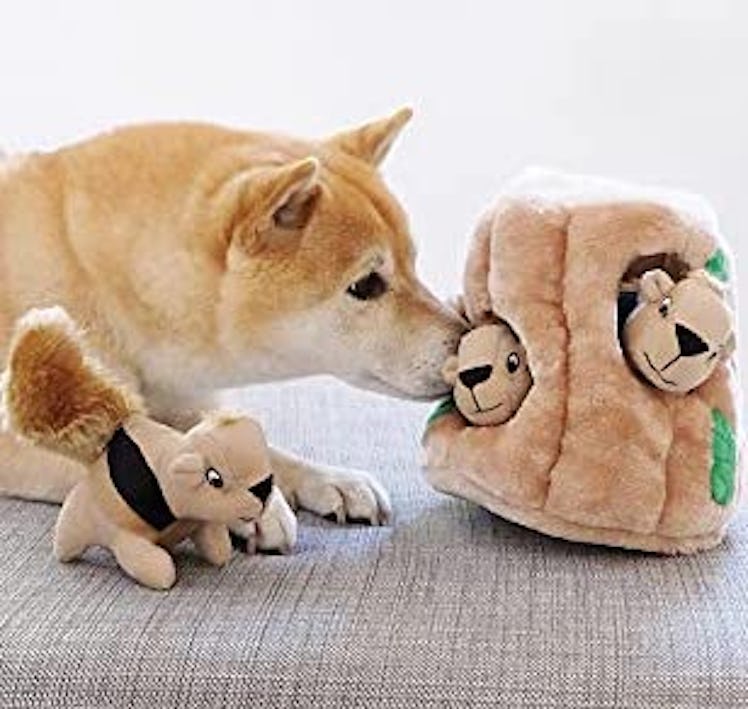 Outward Hound Hide A Squirrel Plush Dog Toy Puzzle