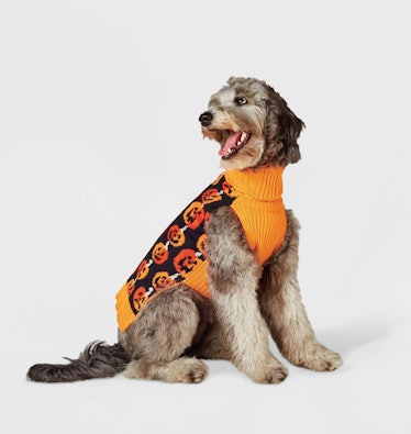 Stacked Pumpkins Dog Sweater