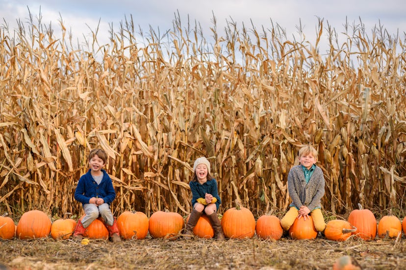 Three kids sitting in front of harvested corn field with a row of pumpkins