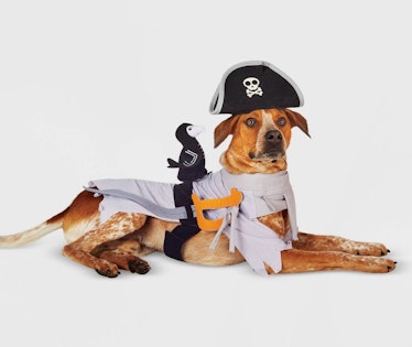Ghost Pirate LED Dog and Cat Costume