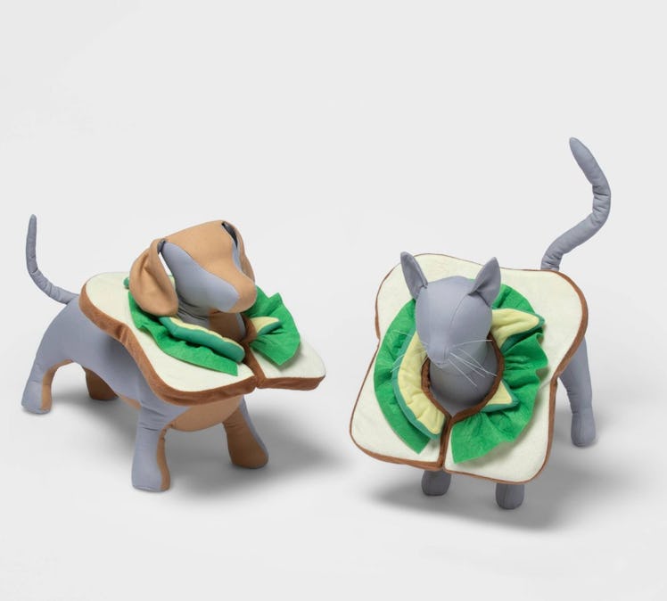 Avocado Toast Dog and Cat Costume
