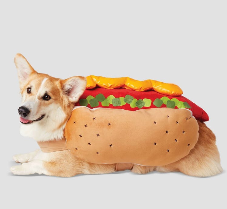 Hot Dog with LED Dog Costume