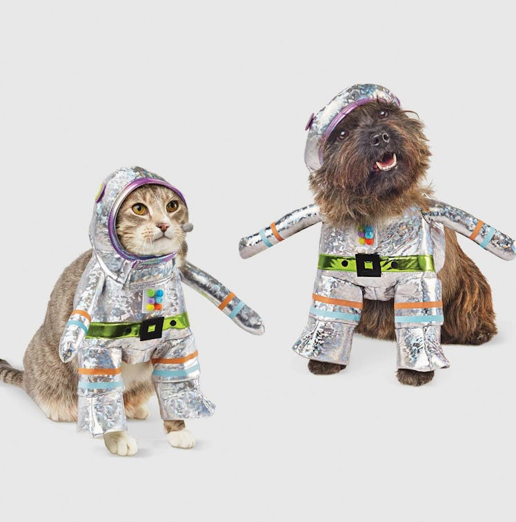 Robot Halloween Dog and Cat Costume