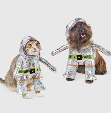 Target's Halloween 2021 pet costumes and toys include festive sweaters. 