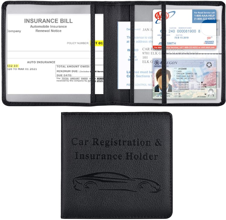 Cacturism Car Registration and Insurance Holder