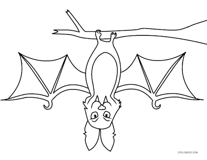 Bat coloring page; bat hanging upside down from tree branch