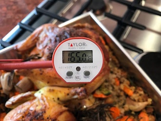 Taylor Precision Tools Digital Instant-Read Thermometer 