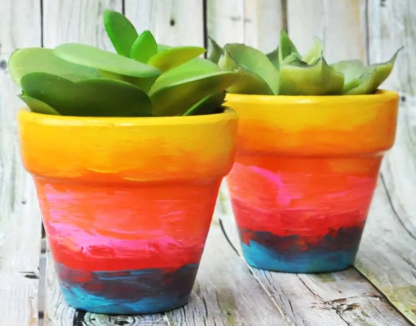 Image from the website diycandy.com of two succulents in flower pots; the pots are painted in rainbo...
