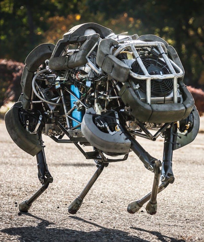 Boston Dynamics' Wild cat robot