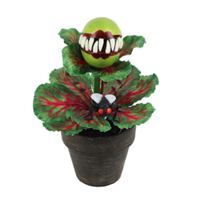 14" Venus Flytrap by Ashland®