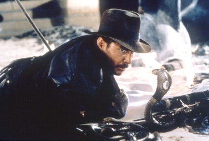 Harrison Ford in 'Raiders of the Lost Ark.'