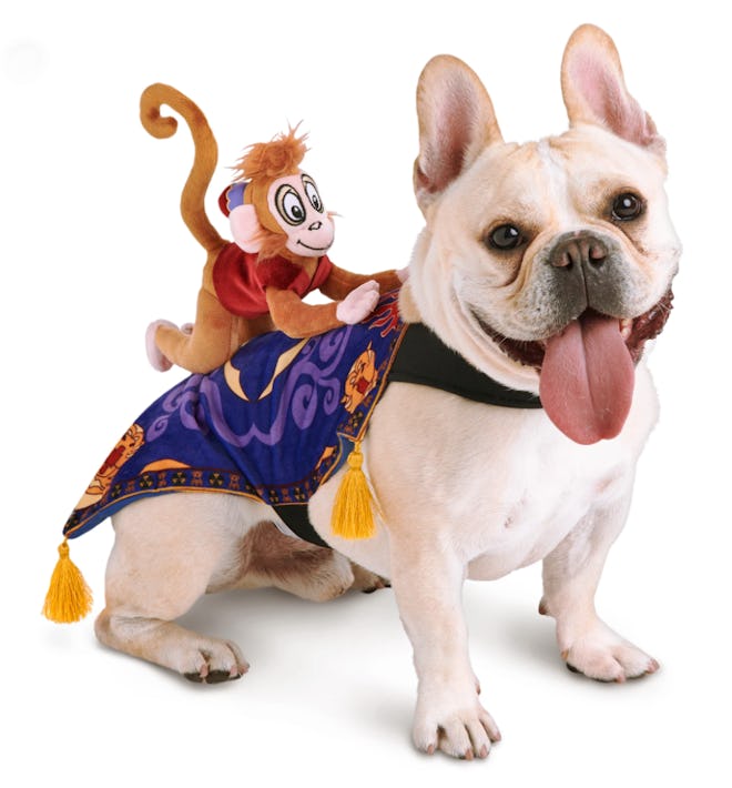 This Abu pet costume is one Halloween costume available from the Disney Store.
