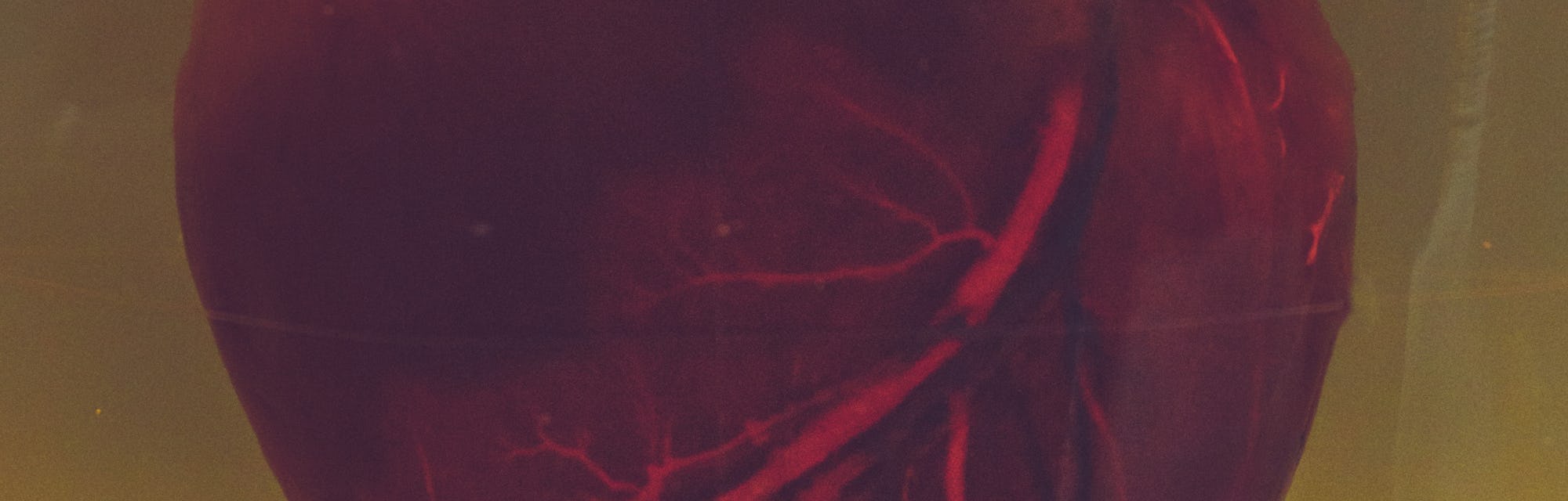 A human heart.