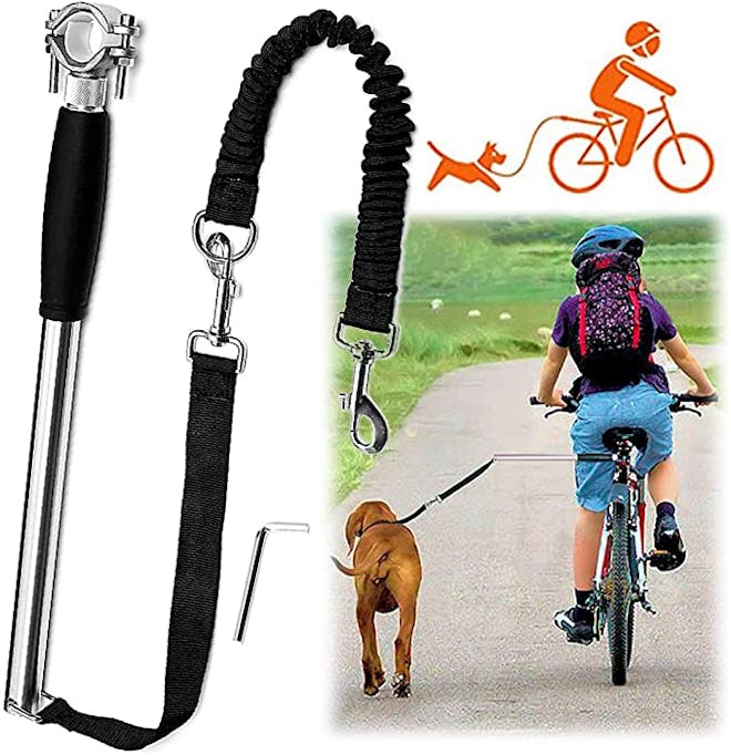 Videosystem Dog Hands Free Leashes