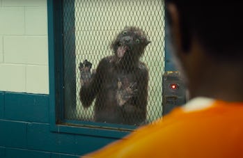 Weasel licks a window in prison in The Suicide Sqaud