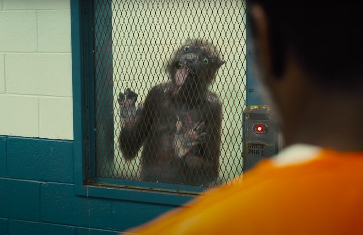 Weasel licks a window in prison in The Suicide Sqaud