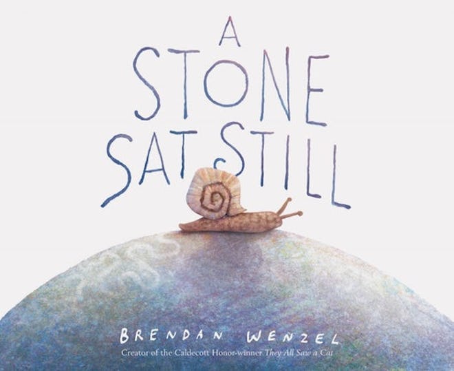 'A Stone Sat Still' by Brendan Wenzel 