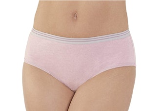 Fruit of the Loom Tag Free Cotton Brief Panties (6-Pack)