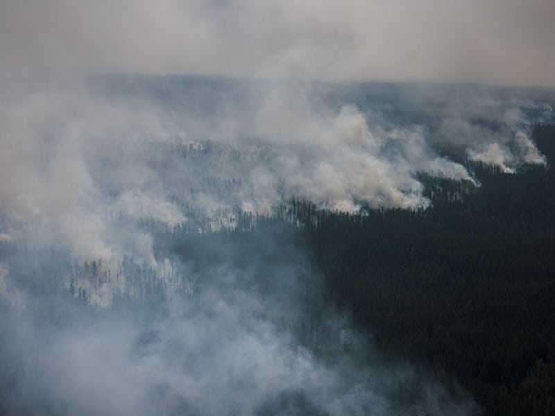 A forest fire in June 2021 in Siberia.