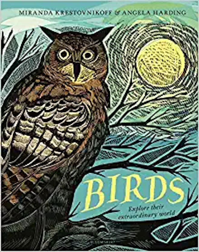 'Birds: Explore Their Extraordinary World' by Miranda Krestovnikoff & Angela Harding