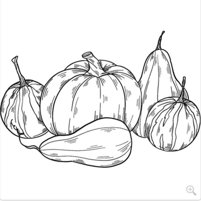 Pumpkins Of All Shapes And Sizes Coloring Page 