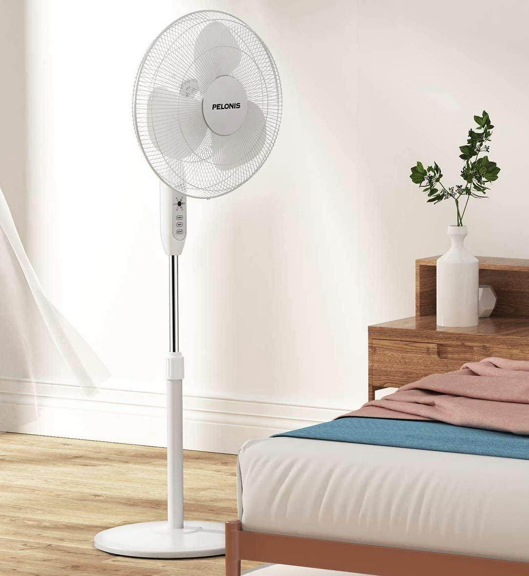 The 10 Best Fans For Dorm Rooms In 2022