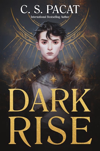 'Dark Rise' by C.S. Pascat