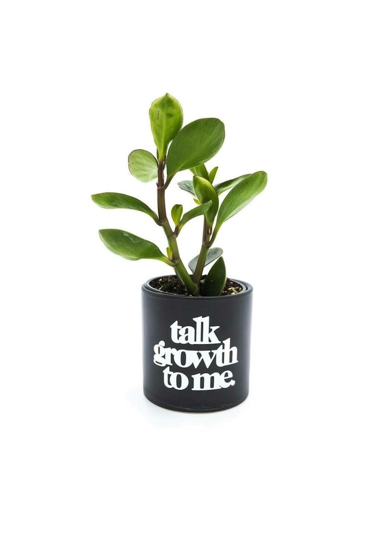 Ceramic Talk Growth To Me Planter