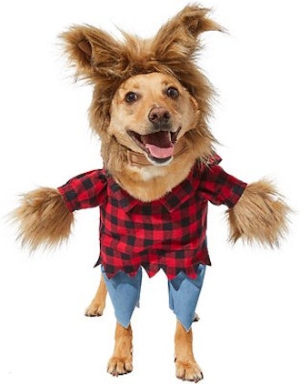 Frisco Front Walking Werewolf Dog & Cat Costume