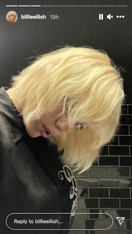 Billie Eilish's short shag haircut makes her look just like her mom Maggie Baird. Her blonde cut is ...