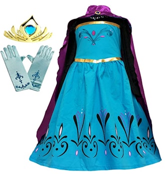 Coronation Dress Costume 