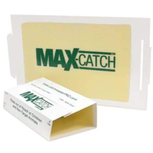 Catchmaster Pest Trap (36 Pack)